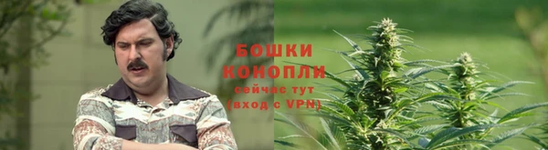 крисы Лихославль
