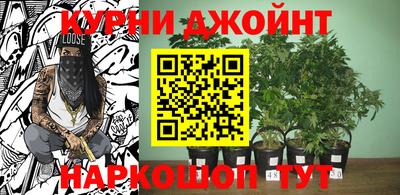 гашишное масло Моздок
