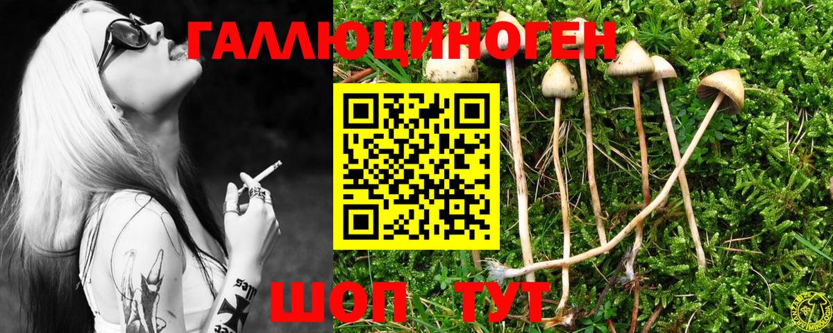 Псилоцибиновые грибы MAGIC MUSHROOMS  Галлюциногенные грибы мухоморы  Тула  Вход с VPN 